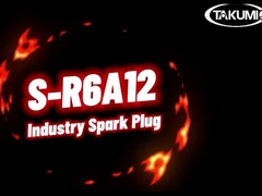 Σκανάρισμα Α12