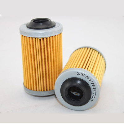 Φίλτρο πετρελαίου για τη Honda Nissan Suzuki OE 25177917 PF2129 HU69/3X OX824D 0986AF0252 OF059